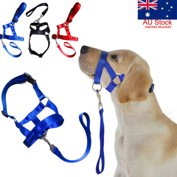 dog harness lead