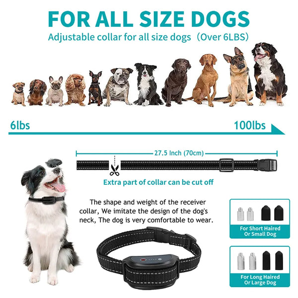 dog training collar remote  | Widgetbud