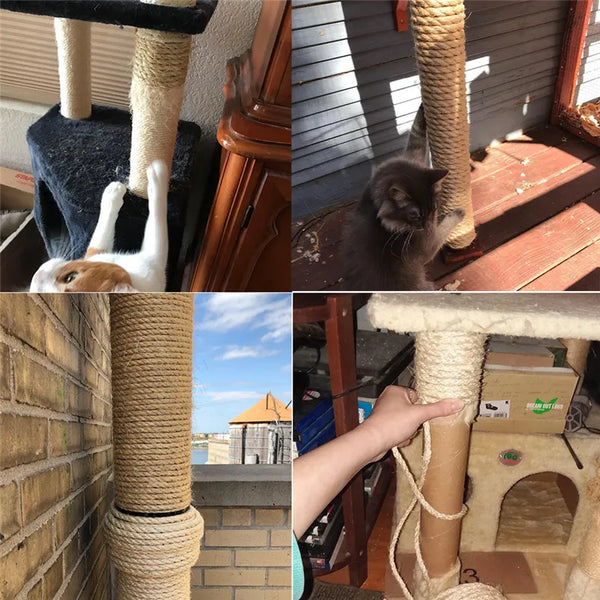 best rope for cat scratching post  | widgetbud