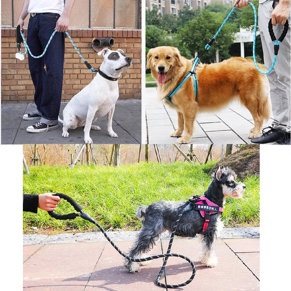 best dog leash for strong dogs | Widgetbud