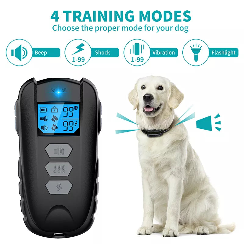dog shock collar trainer  | Widgetbud