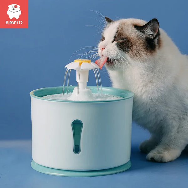 drinking fountain cat