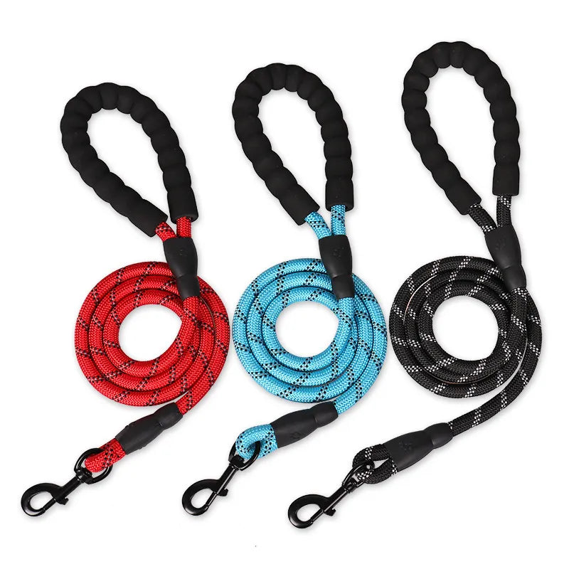 dog leash with strong clasp  | Widgetbud