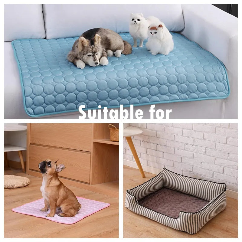 large dog bed washable  | widgetbud