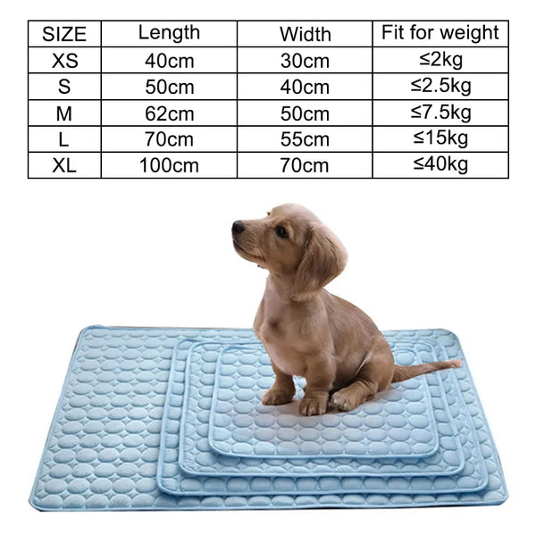large dog beds washable  | widgetbud