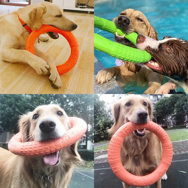 Interactive Dog Toys for Big Dogs 