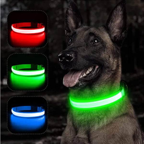 glow collar for dogs