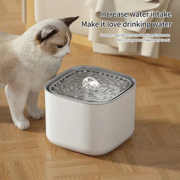 cute cat water fountains