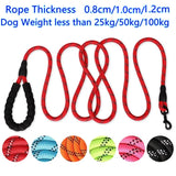 best leash for strong dogs | Widgetbud