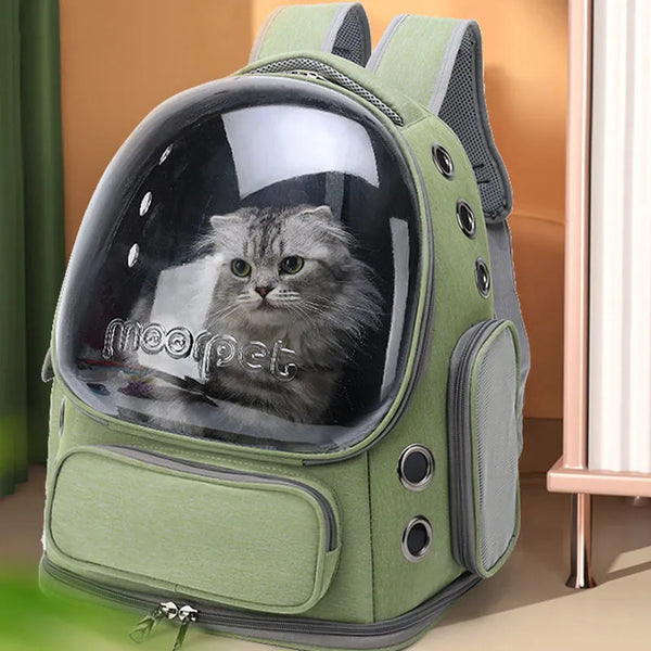 cat carrier backpack bubble