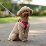 harness leashes for dogs | Widgetbud