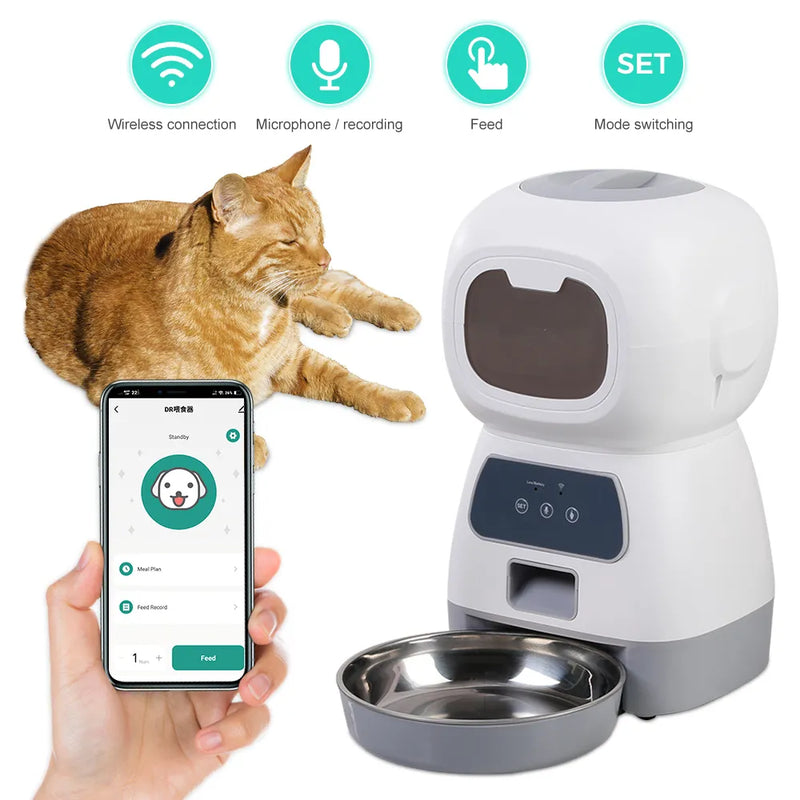 automatic pet food dispenser reviews | widgetbud