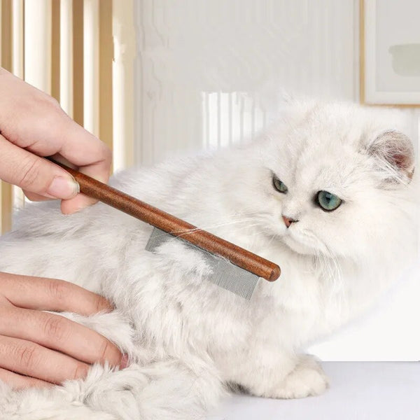 Cat Comb Massage Cat Brush Pet Hair Remover