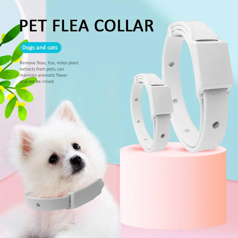 Cat Collar Anti Flea Ticks Cat Necklace