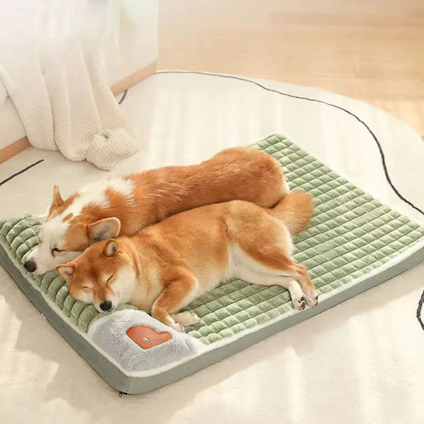 dog warm mat | WidgetBud 