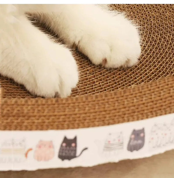 Best cat scratcher bed for large cats | widgetbud