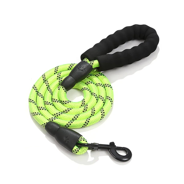long dog leash  | Widgetbud