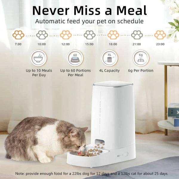 automatic cat feeder for wet food | Widgetbud