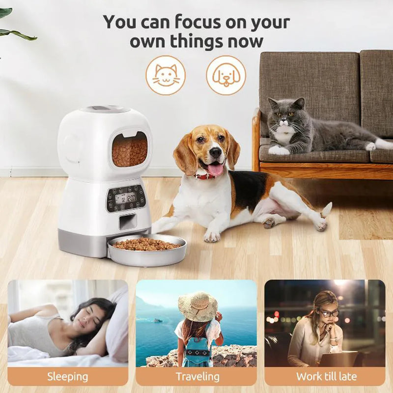 automatic pet feeder small | widgetbud