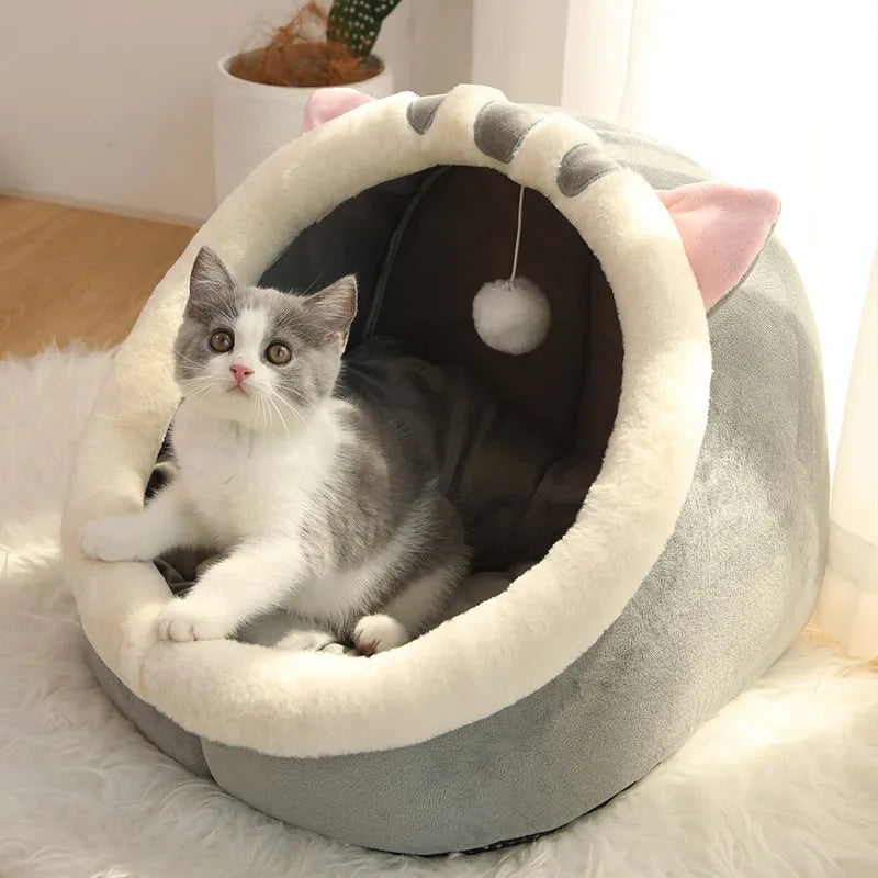 cartoon pet bed