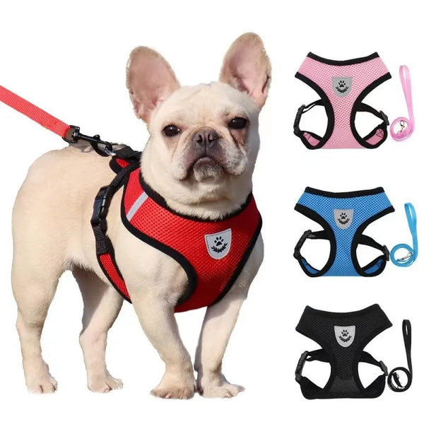 Adjustable Dog Harness