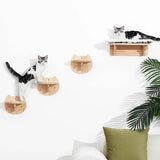 Cat Climbing Wall Mounted Set Hammock Scratching Post