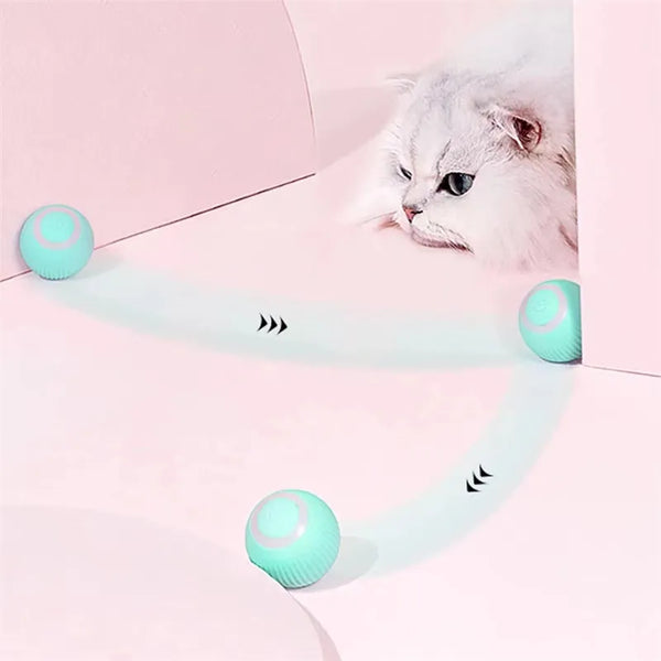 smart cat toy | widgetbud