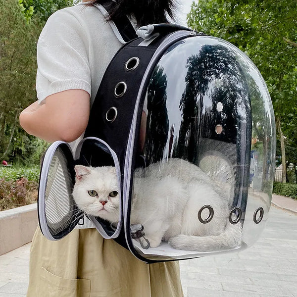 Cat Carrying Bags