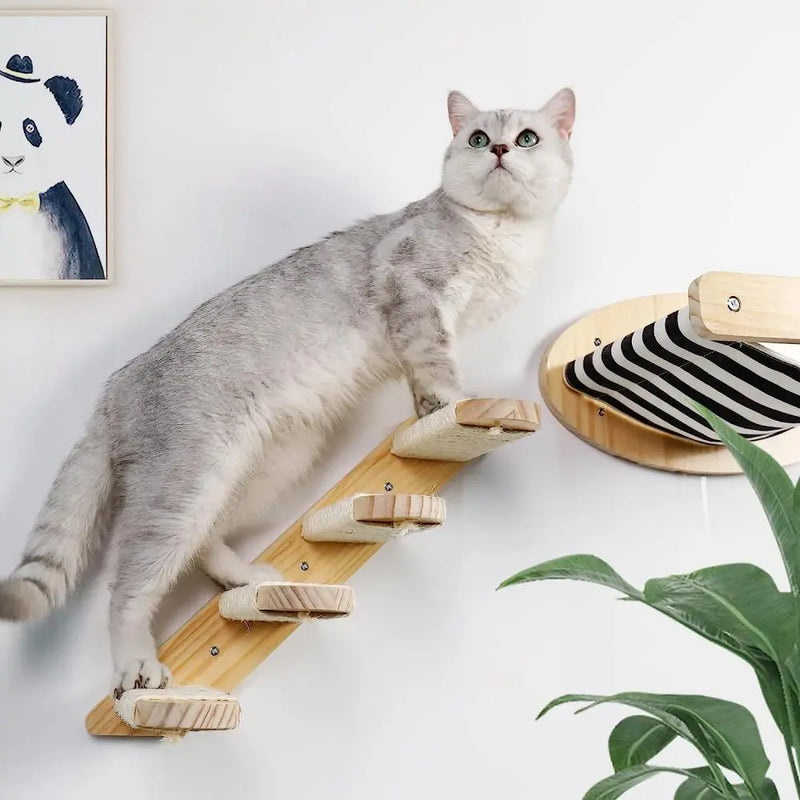 Cat Climbing Wall Mounted Set Hammock Scratching Post