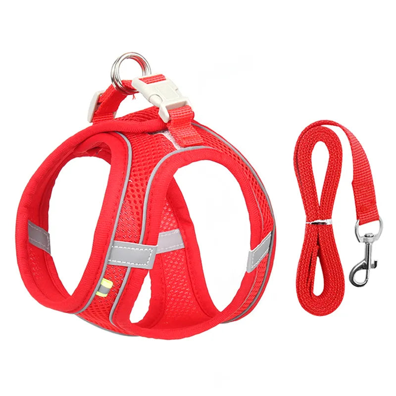 dog leash and harness set | Widgetbud