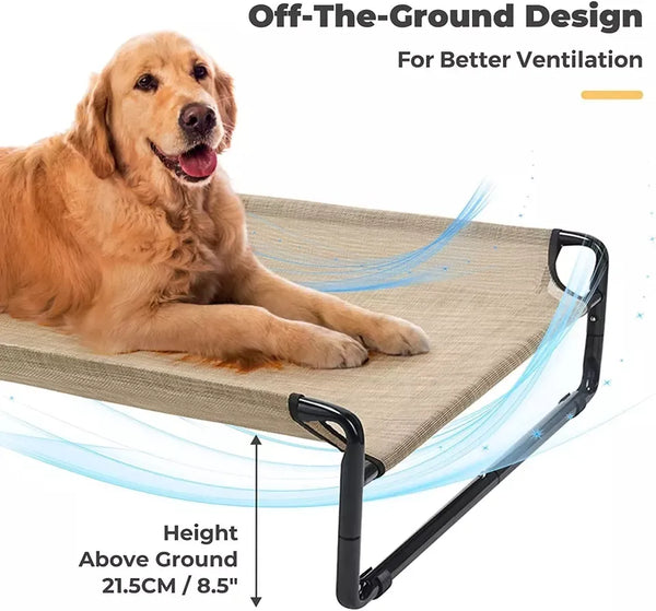 Best Folding Elevated dog bed | Widgetbud 