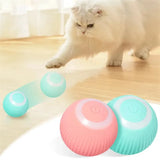 Smart Cat Toys