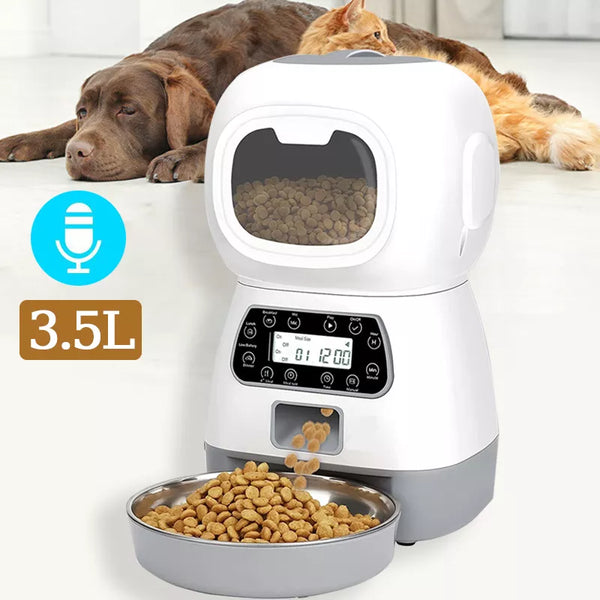 Automatic pet feeder for multiple cats