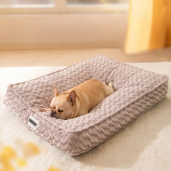 Small Dog Mat