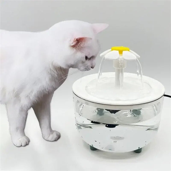 cat water fountain filter