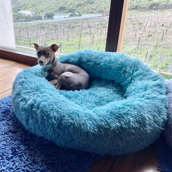 super soft calming dog bed | WidgetBud 
