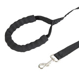 long rope leash for dogs | Widgetbud