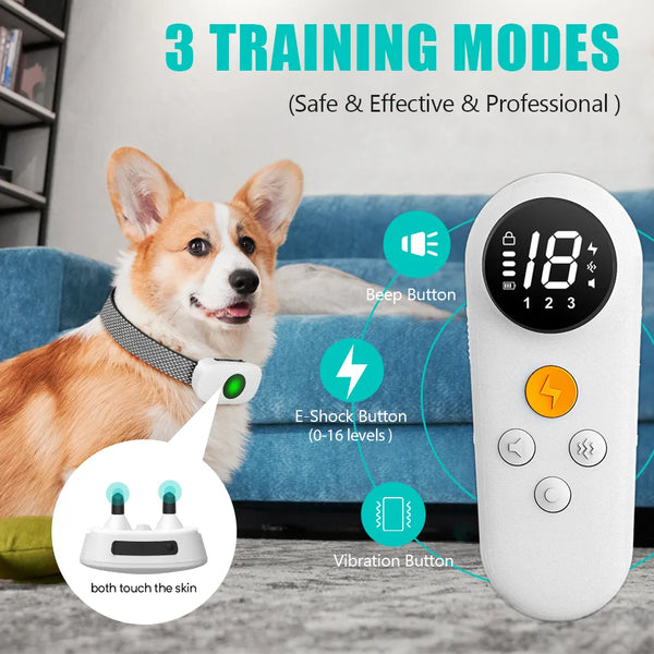 electric shock collar training dogs | Widgetbud
