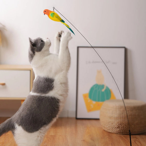 interactive bird simulation cat toy set | Widgetbud 