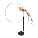 Bird interactive Cat Toy  | Widgetbud