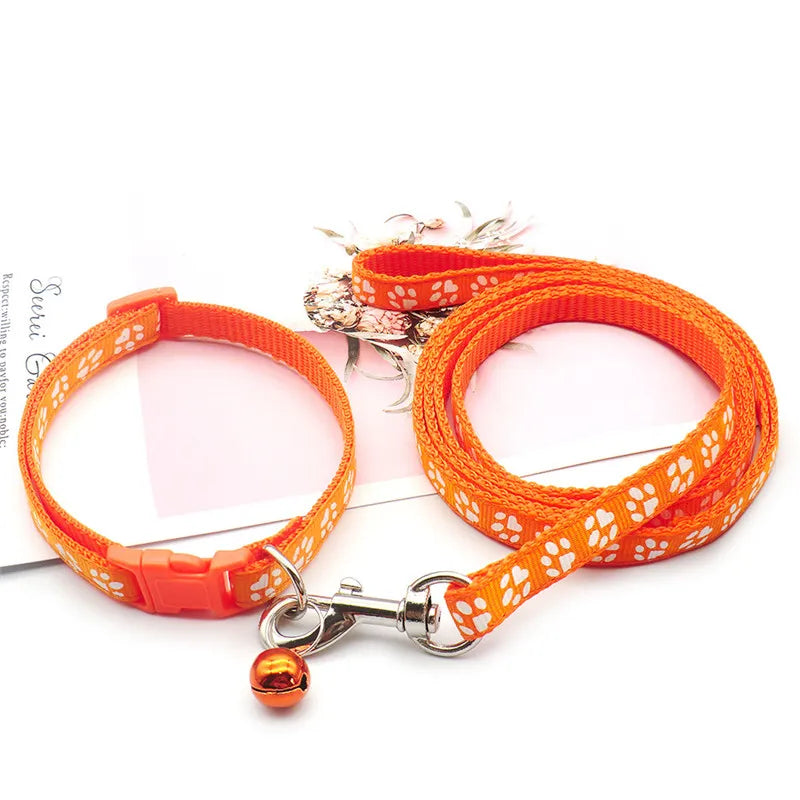 dog collars | Widgetbud