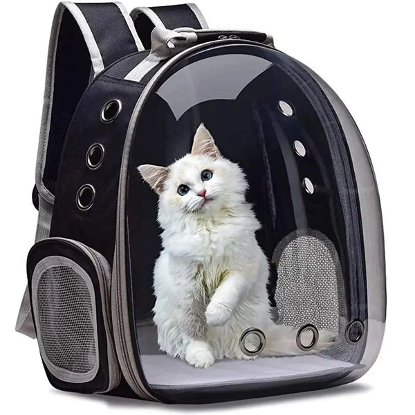 bubble cat carrier