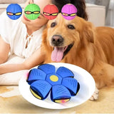 flying saucer ball for dogs | widgetbud 