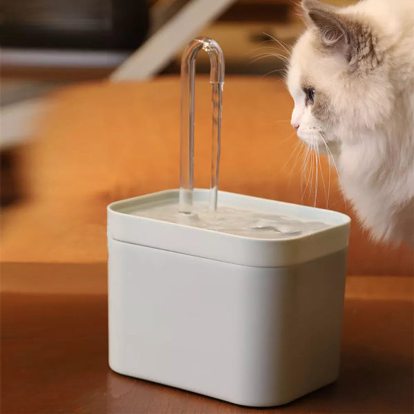 cat fountain water filters