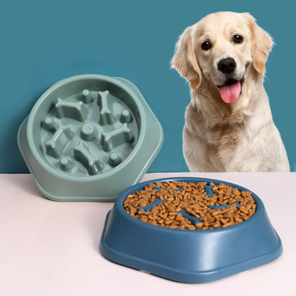 slow dog food bowl