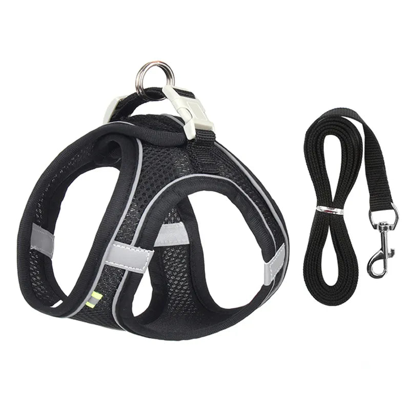 small dog harness leash | Widgetbud