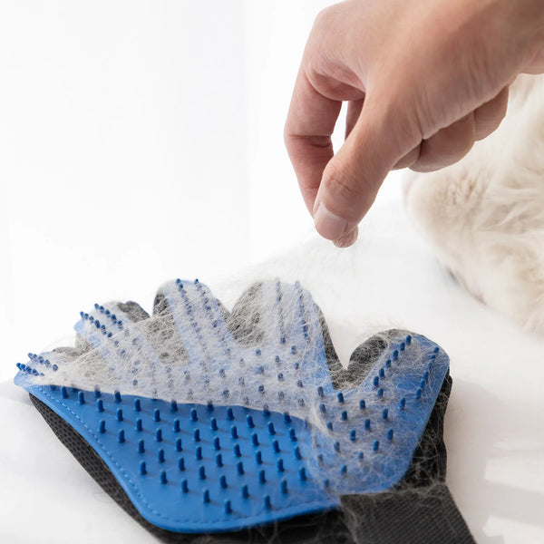 grooming glove for cats | widgetbud