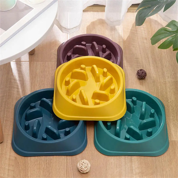 Pet Slow Food Bowl