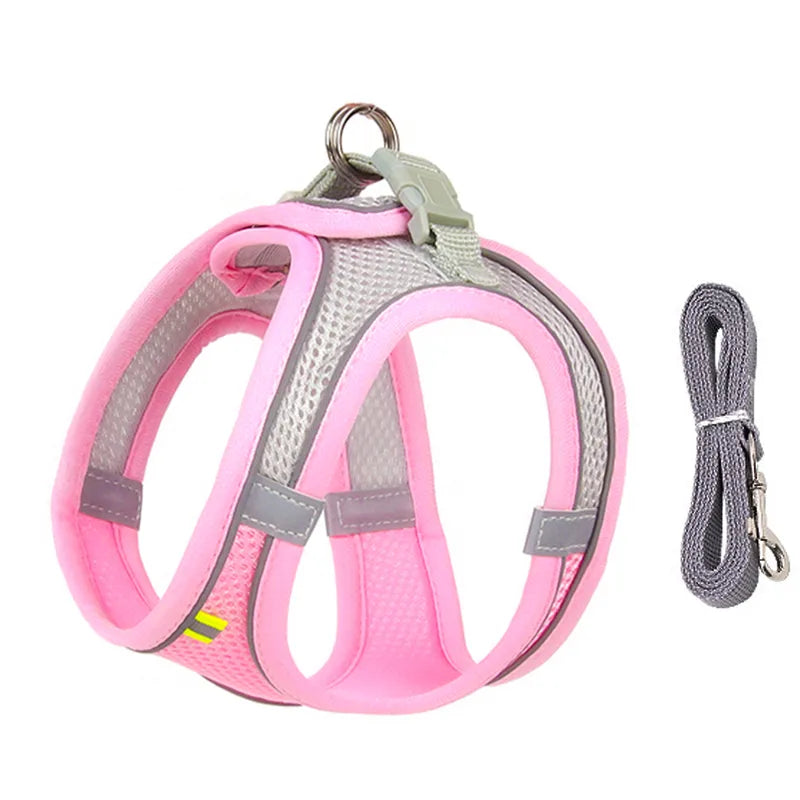 dog leash and harness set | Widgetbud