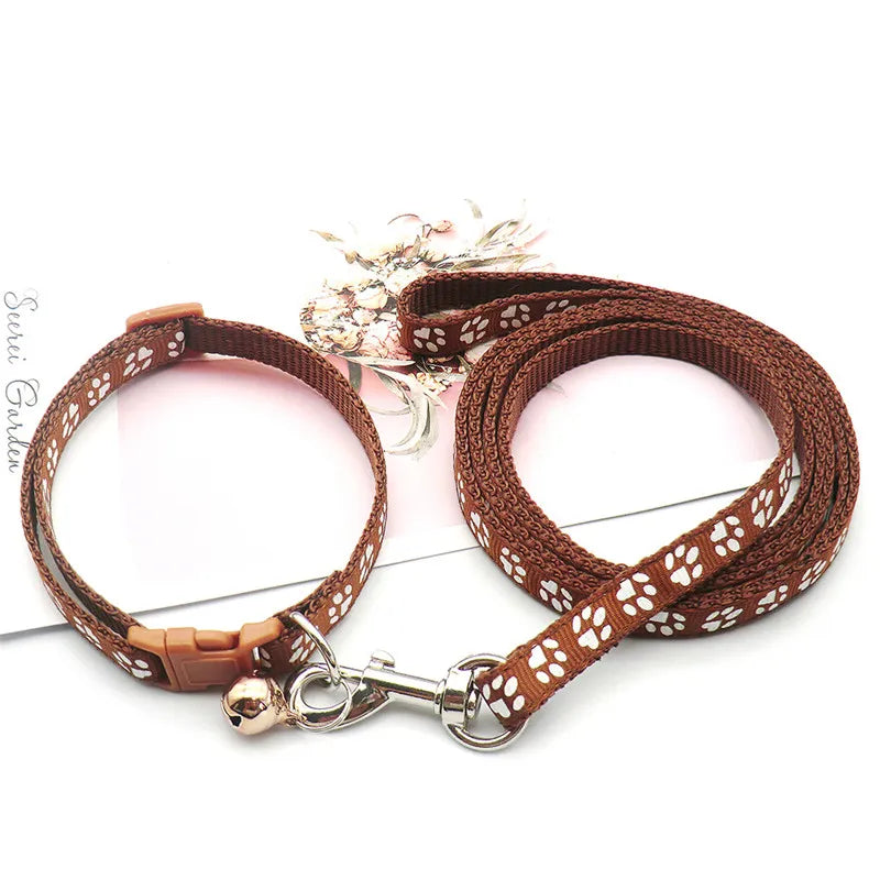 dog collars | Widgetbud